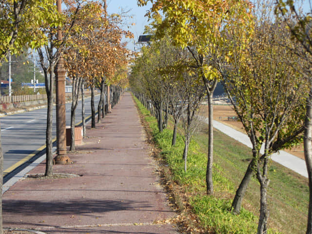 韓國榮州 西川 (서천)右岸河堤 可興橋 (가흥교)