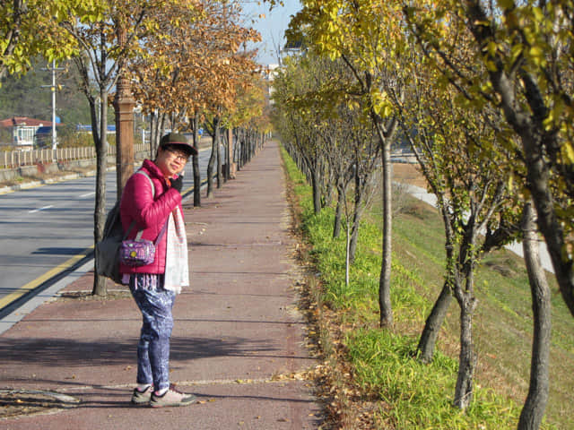 韓國榮州 西川 (서천)右岸河堤