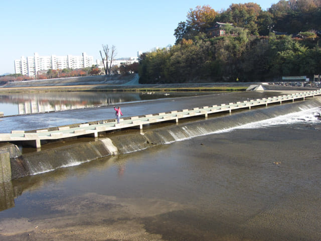 韓國榮州西川 堤堰行人步道