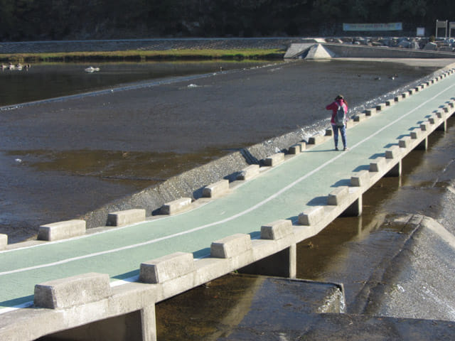 韓國榮州西川 堤堰行人步道