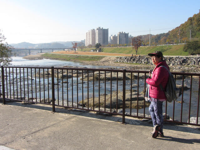 韓國榮州西川左岸