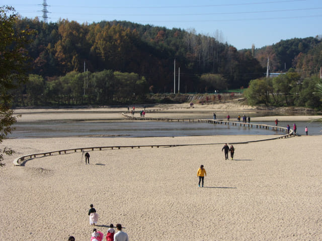 韓國榮州水島村 (무섬마을 Yeongju Museom Village) 獨木橋(외나무다리 Single Log Bridge)