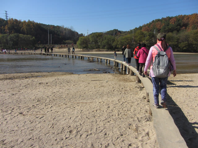 韓國榮州水島村 橫躺西川兩岸的獨木橋