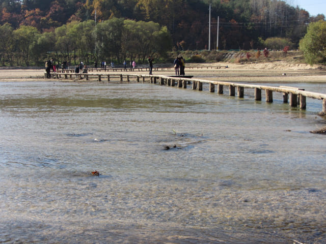 韓國榮州水島村 橫躺西川兩岸的獨木橋