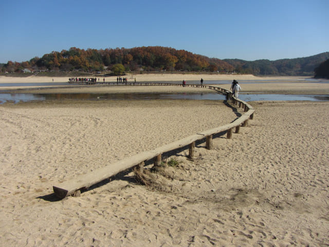 韓國榮州水島村 獨木橋