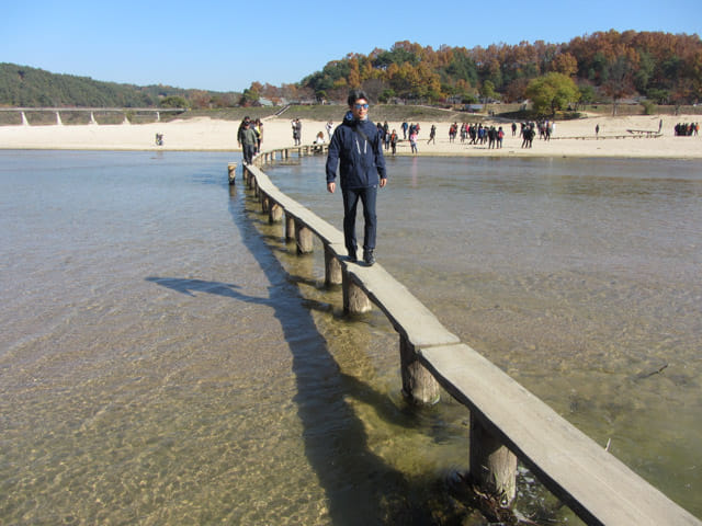 韓國榮州水島村 橫躺西川兩岸的獨木橋