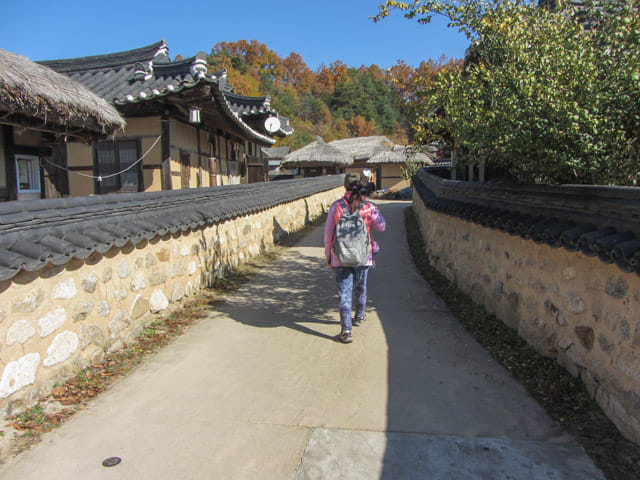 韓國榮州 水島村 (무섬마을 Yeongju Museom Village)