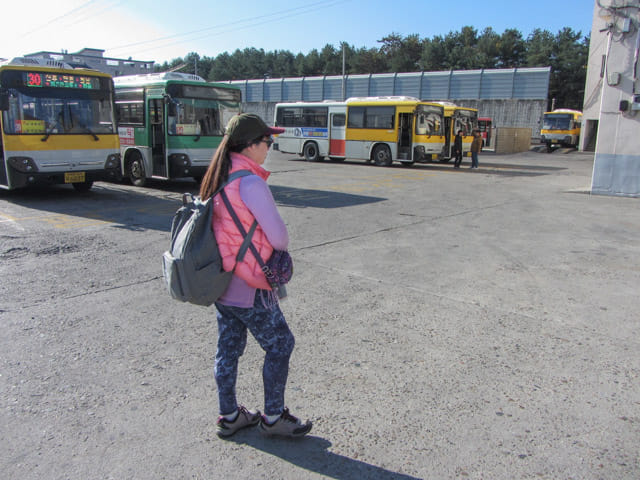 韓國 榮州客運站