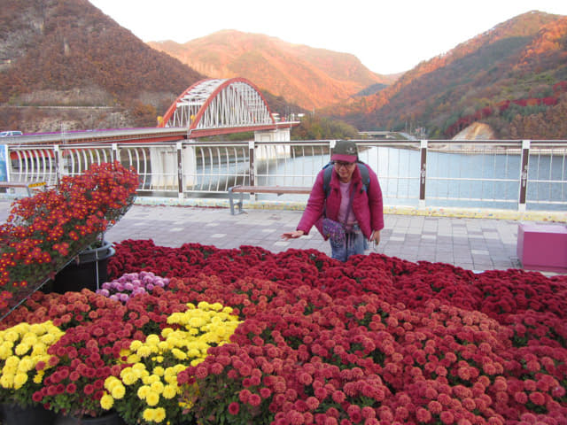 韓國丹陽 南漢江 Gosu 古藪橋 秋天黃昏景色