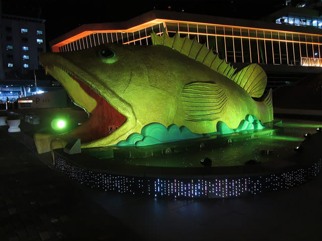 韓國丹陽水族館 燈光璀璨夜色