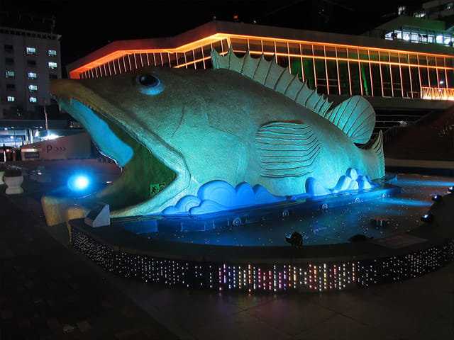 韓國丹陽水族館 燈光璀璨夜色