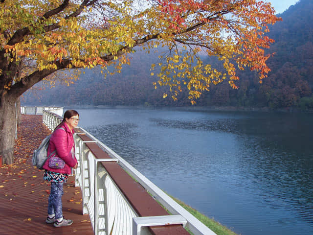 韓國丹陽 南漢江 秋天 紅楓葉景色