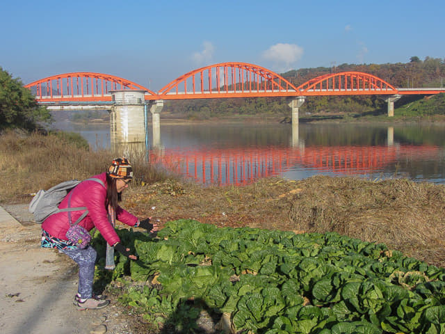 韓國丹陽南漢江 三峰大橋