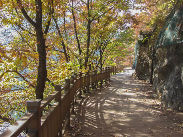 韓國丹陽南漢江畔第四散步道 秋天紅葉景色