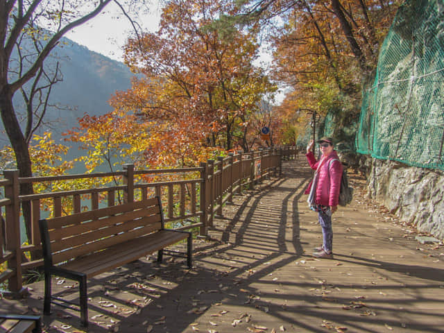 韓國丹陽南漢江畔第四散步道 秋天紅葉景色