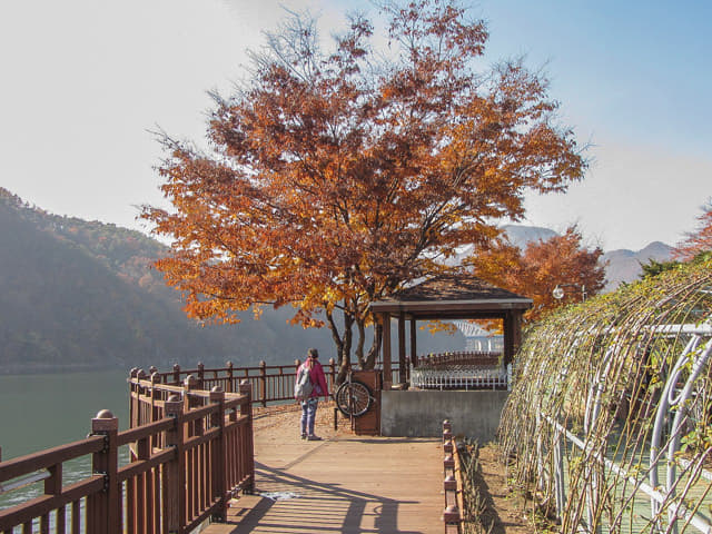 韓國丹陽南漢江畔第四散步道 (江邊路) 秋天紅葉景色