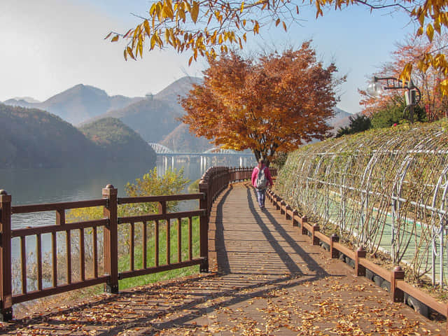 韓國丹陽南漢江畔第四散步道 (江邊路) 秋天紅葉景色