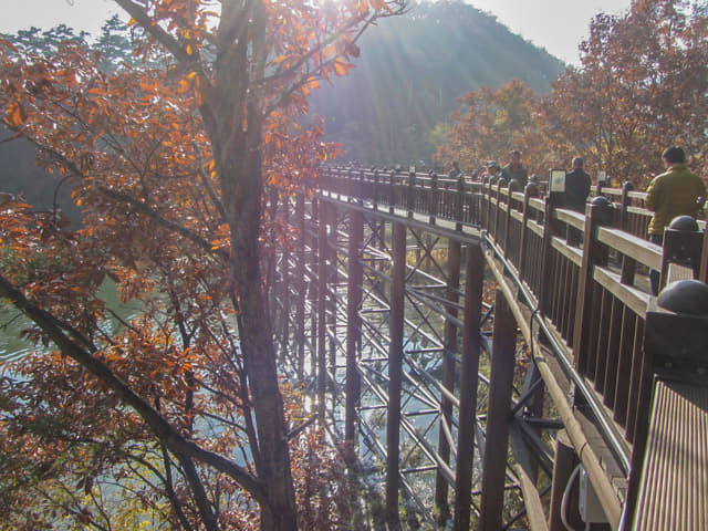 韓國丹陽 南漢江棧道 (남한강 잔도 Namhangang River Plank Road)