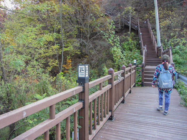 韓國丹陽市第五條散步道 萬川下Skywalk 步行到丹陽青苔路(단양 이끼터널)