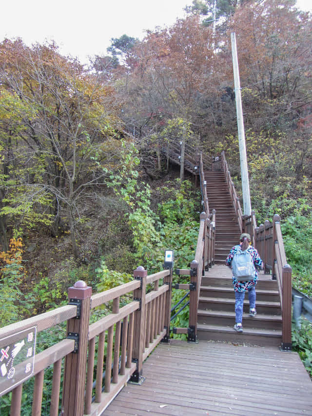 韓國丹陽市第五條散步道 萬川下Skywalk 步行到丹陽青苔路(단양 이끼터널)