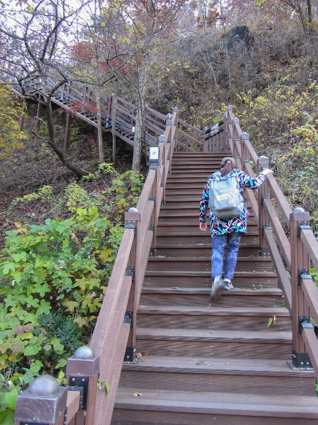 韓國丹陽市第五條散步道 萬川下Skywalk 步行到丹陽青苔路(단양 이끼터널)