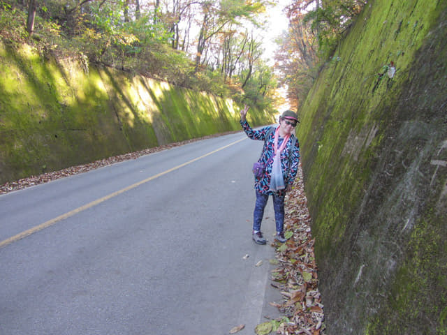 韓國丹陽 青苔路(단양 이끼터널)、丹陽青苔隧道