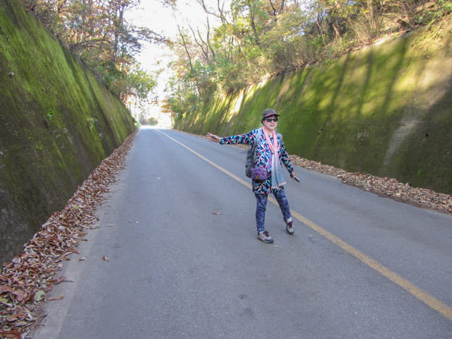 韓國丹陽 青苔路(단양 이끼터널)、丹陽青苔隧道