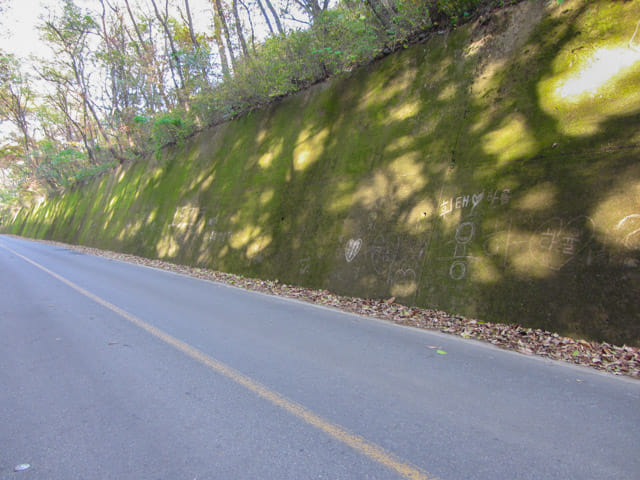 韓國丹陽 青苔路(단양 이끼터널)、丹陽青苔隧道