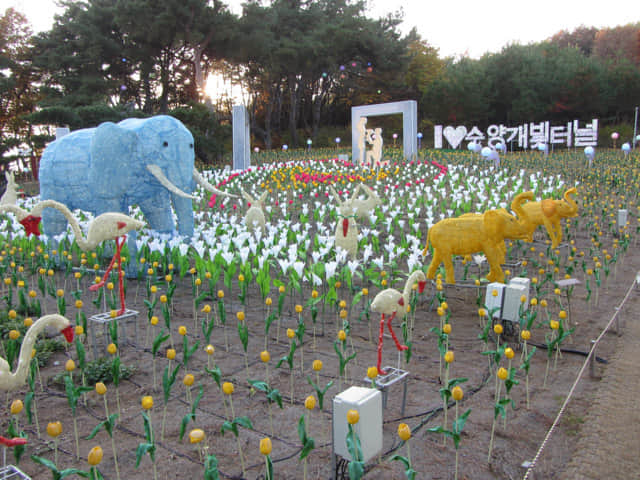 丹陽垂楊介星光隧道 (수양개빛터널 Danyang Suyanggae Light Tunnl) LED燈飾公園