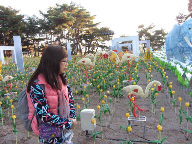 丹陽垂楊介星光隧道 (수양개빛터널 Danyang Suyanggae Light Tunnl) LED燈飾公園