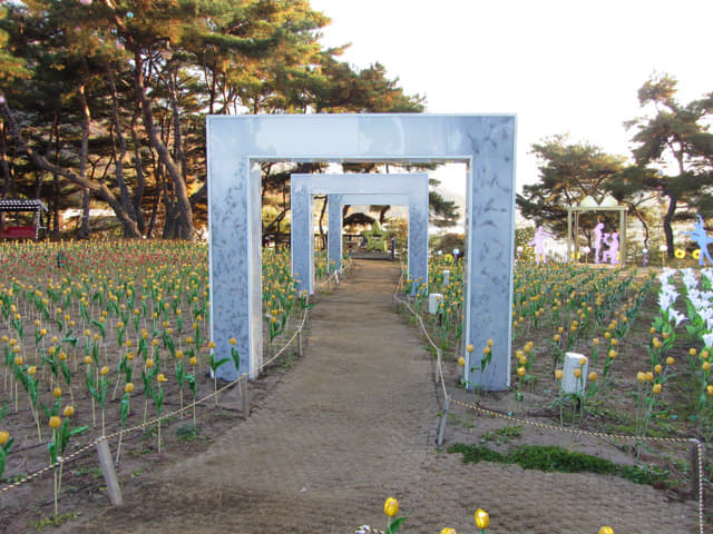 丹陽垂楊介星光隧道 LED燈飾公園