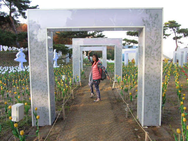 丹陽垂楊介星光隧道 (수양개빛터널 Danyang Suyanggae Light Tunnl) LED燈飾公園