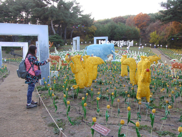 丹陽垂楊介星光隧道 (수양개빛터널 Danyang Suyanggae Light Tunnl) LED燈飾公園