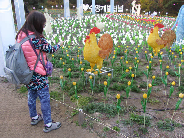 丹陽垂楊介星光隧道 (수양개빛터널 Danyang Suyanggae Light Tunnl) LED燈飾公園