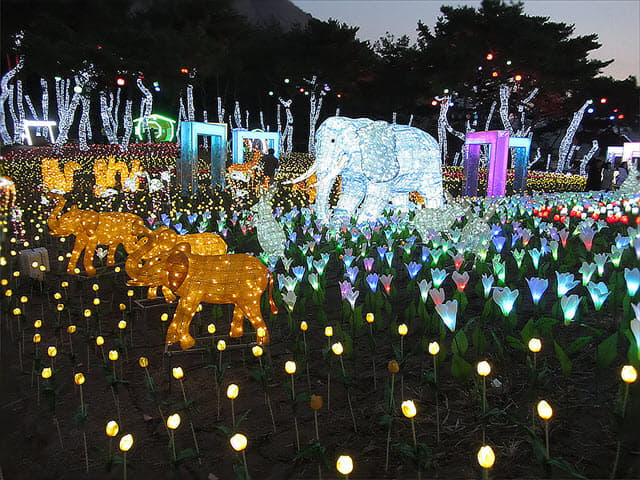 韓國丹陽垂楊介星光隧道 LED 公園晚間景色