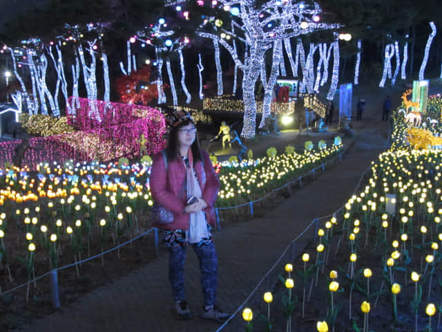 韓國丹陽垂楊介星光隧道 LED 公園晚間景色