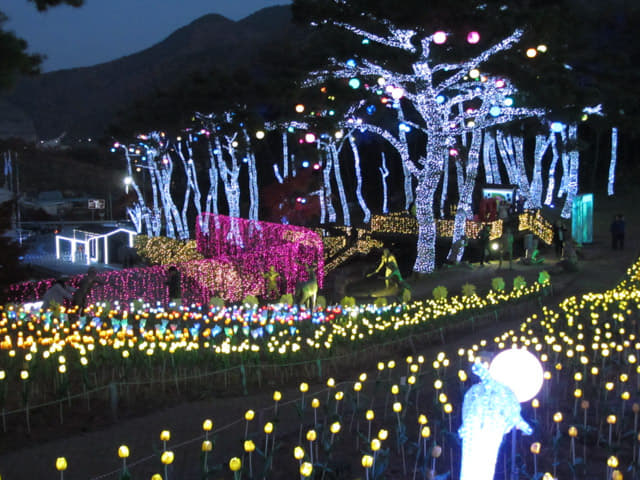 韓國丹陽垂楊介星光隧道 LED 公園晚間景色