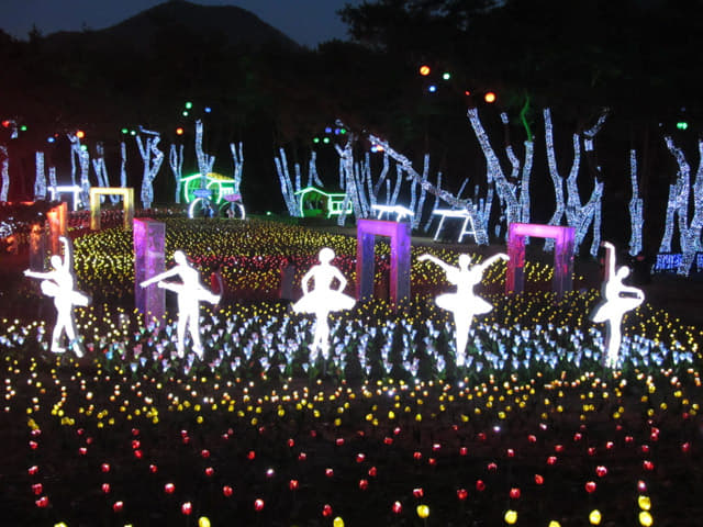 韓國丹陽垂楊介星光隧道 LED 公園晚間景色