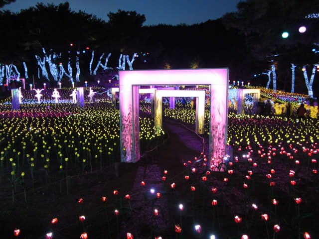 韓國丹陽垂楊介星光隧道 LED 公園晚間景色