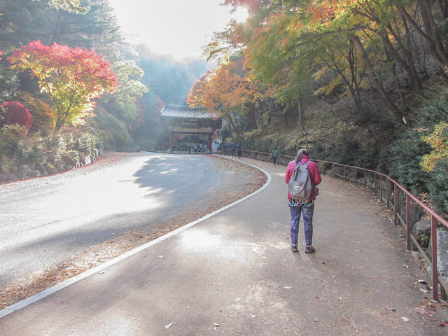 丹陽救仁寺 登山口 秋天紅葉