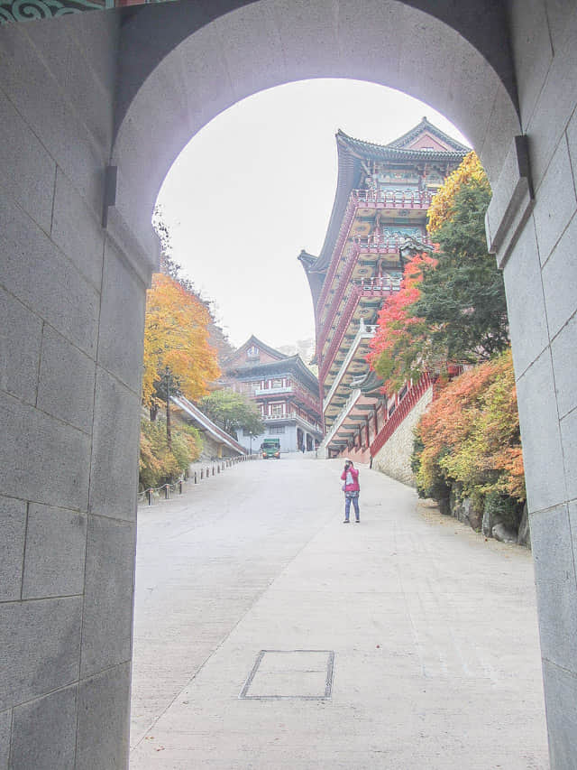 韓國丹陽小白山救仁寺 (구인사 Guinsa) 天王門 (천왕문) 仁光堂(인광당) 秋天紅葉