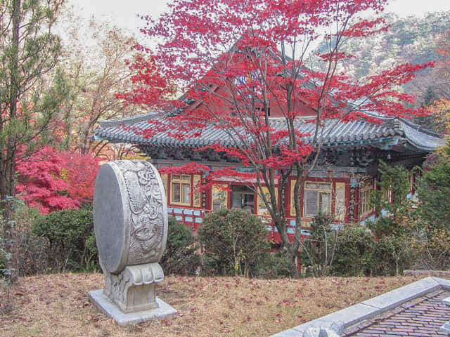 韓國丹陽小白山救仁寺 秋天紅葉