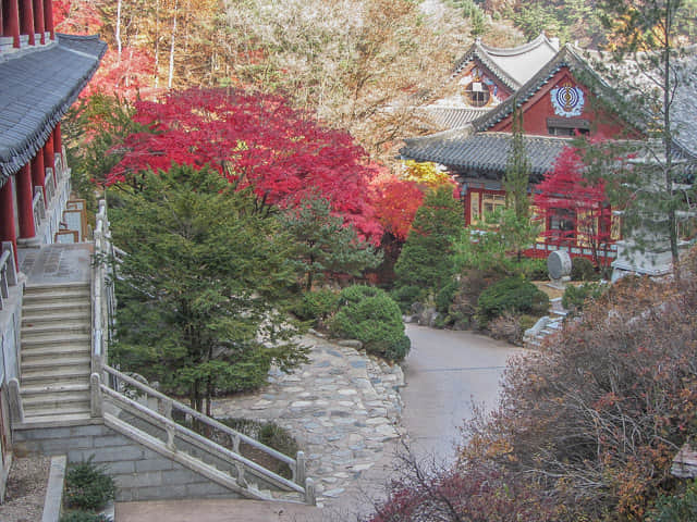 韓國丹陽小白山救仁寺 (구인사 Guinsa) 秋天紅葉