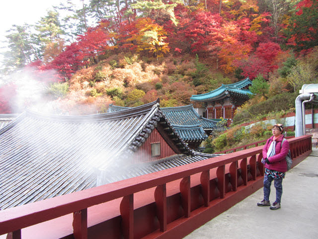 韓國丹陽救仁寺 (구인사 Guinsa) 秋天紅葉