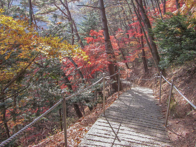 韓國丹陽小白山 漂亮秋色