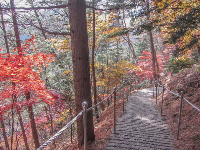 韓國丹陽小白山 漂亮秋色