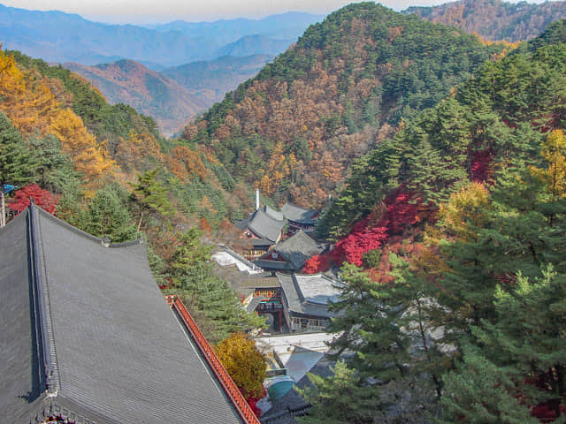 韓國丹陽 小白山谷中的 救仁寺 秋天紅葉景色