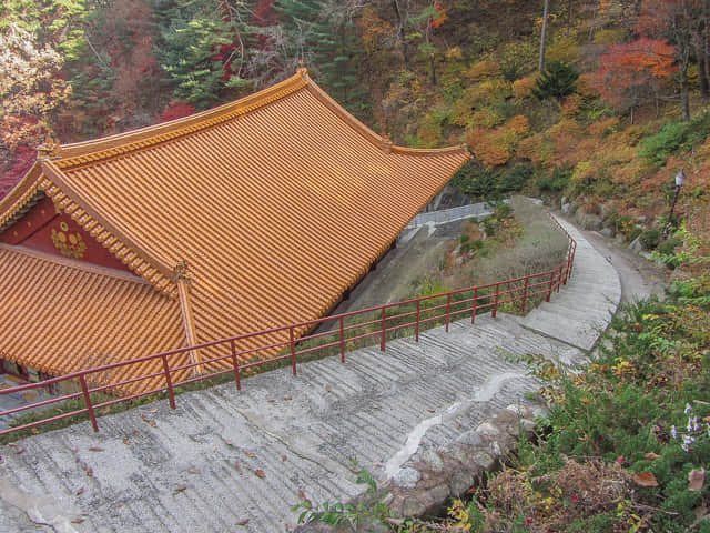 韓國丹陽 小白山谷中的 救仁寺 秋天紅葉景色