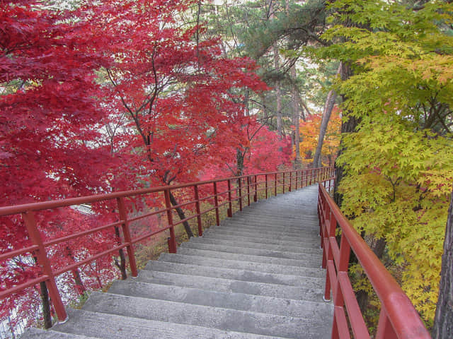 韓國丹陽 救仁寺 漂亮秋天紅葉步道景色