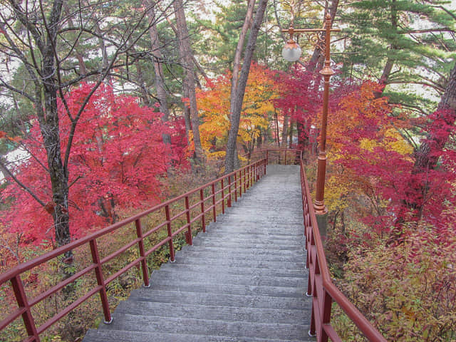 韓國丹陽 救仁寺 漂亮秋天紅葉步道景色